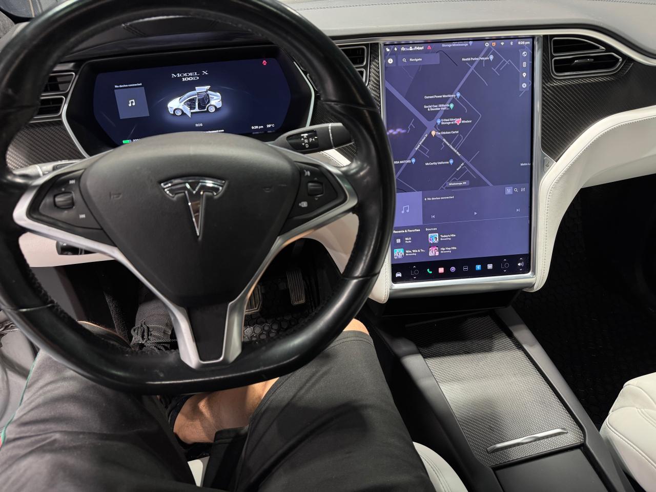 2017 Tesla Model X 100D - Photo #10