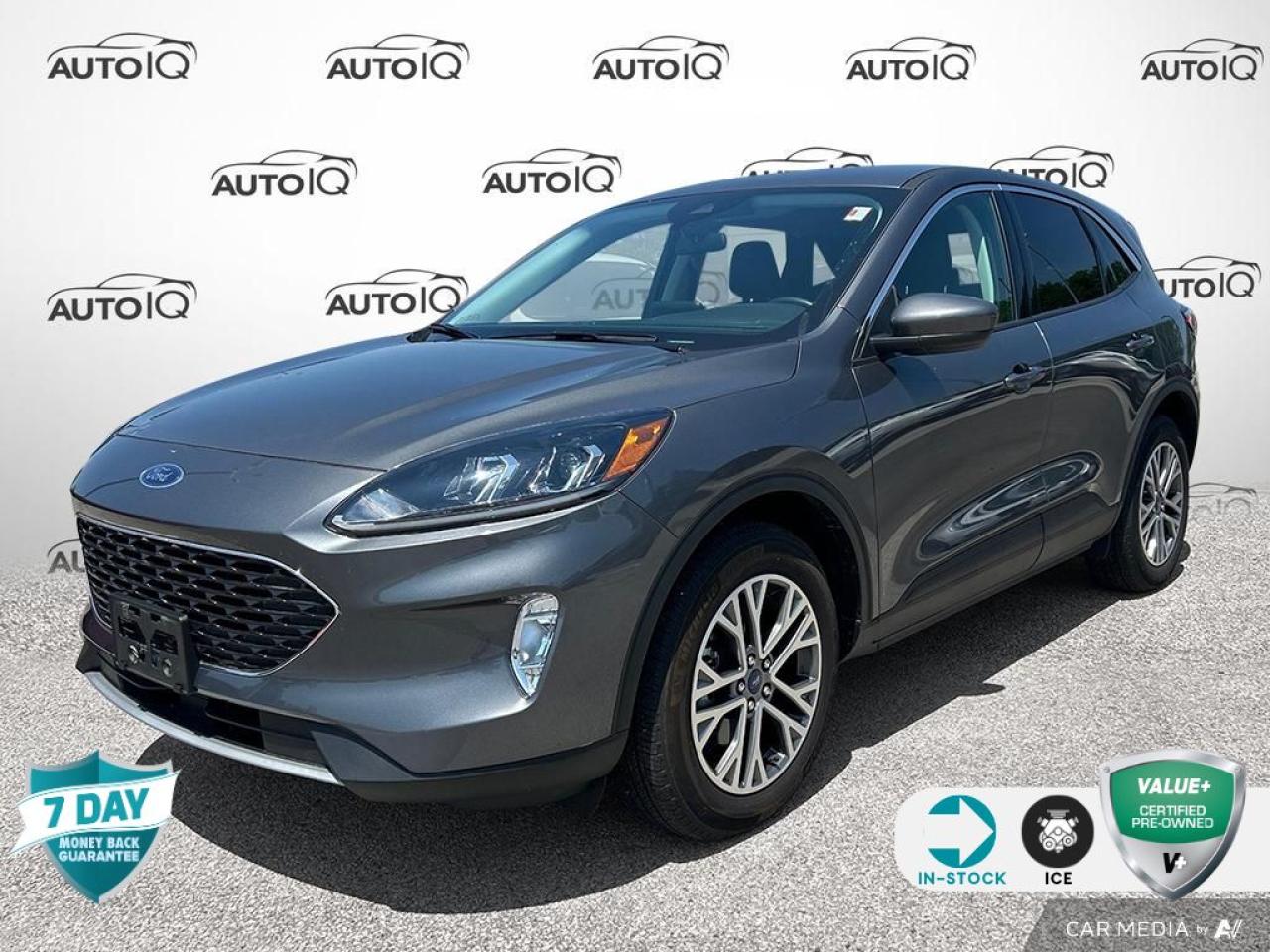 Used 2022 Ford Escape SEL for sale in Oakville, ON