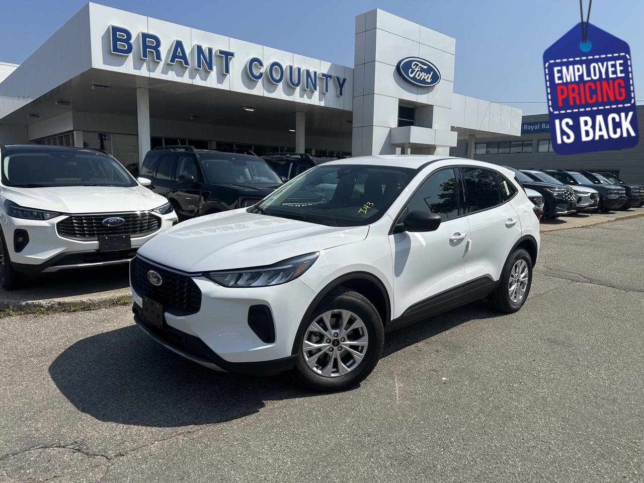 New 2025 Ford Escape Active for sale in Brantford, ON