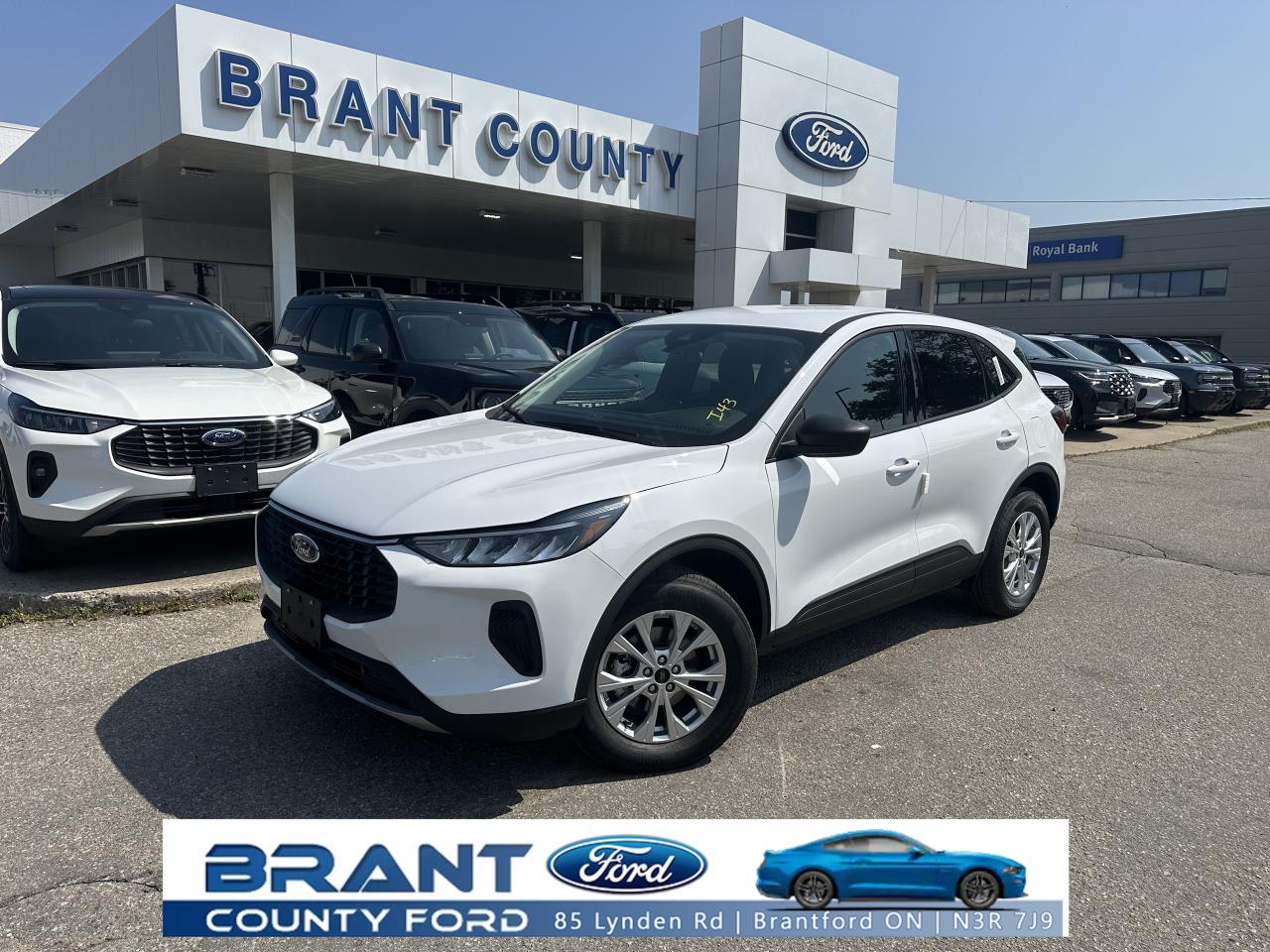 New 2025 Ford Escape Active for sale in Brantford, ON