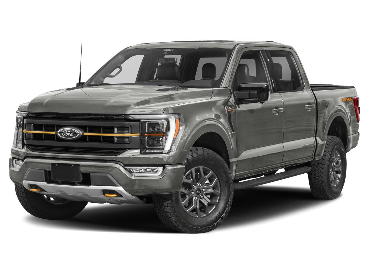2022 Ford F-150 Tremor Photo0