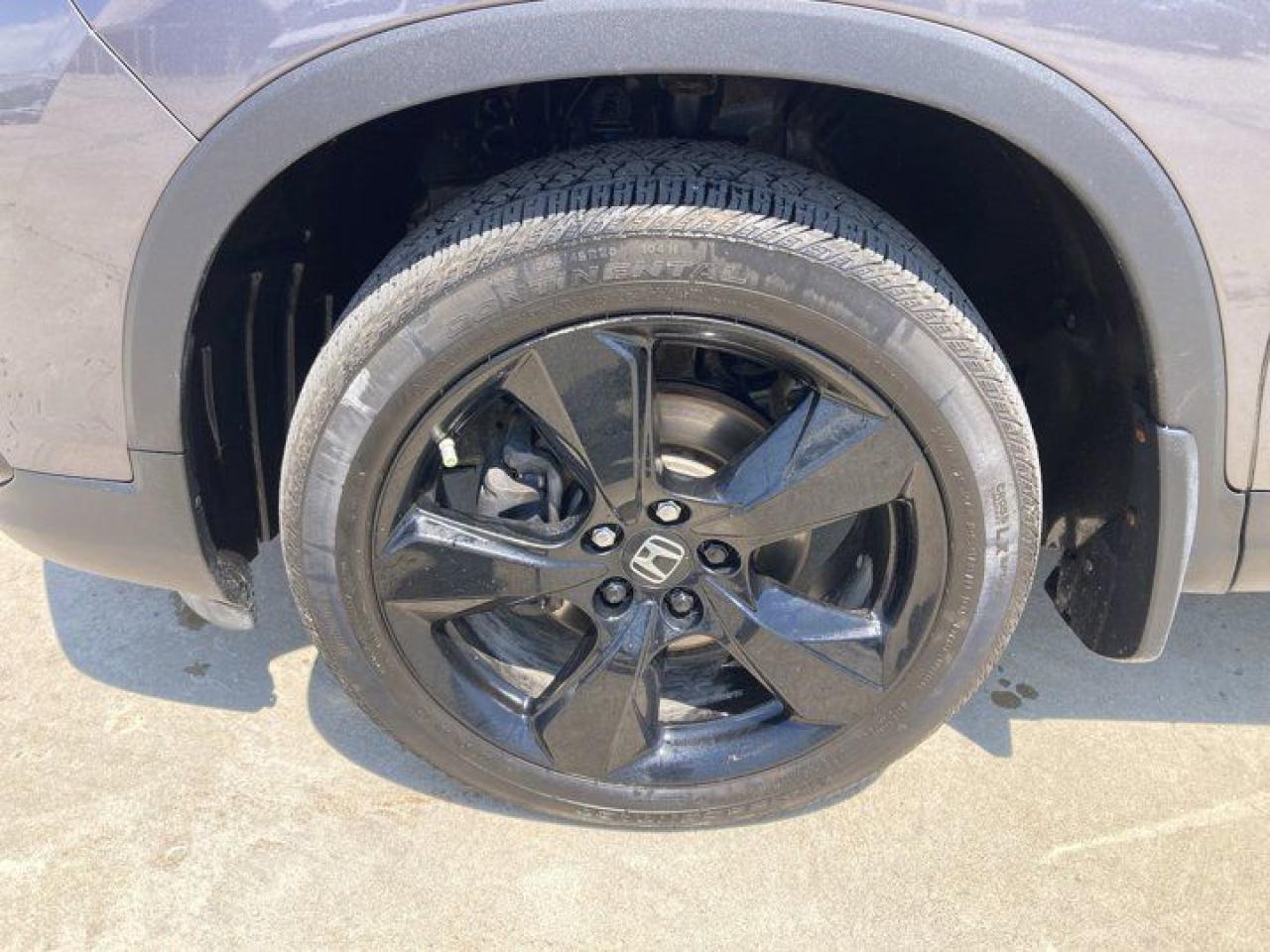 12706356