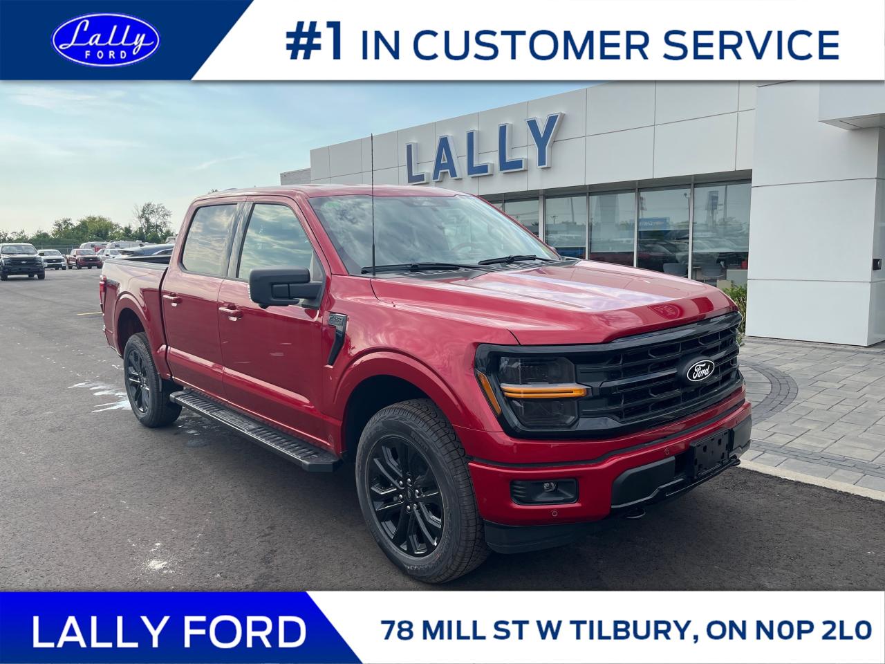 New 2025 Ford F-150 XLT for sale in Tilbury, ON