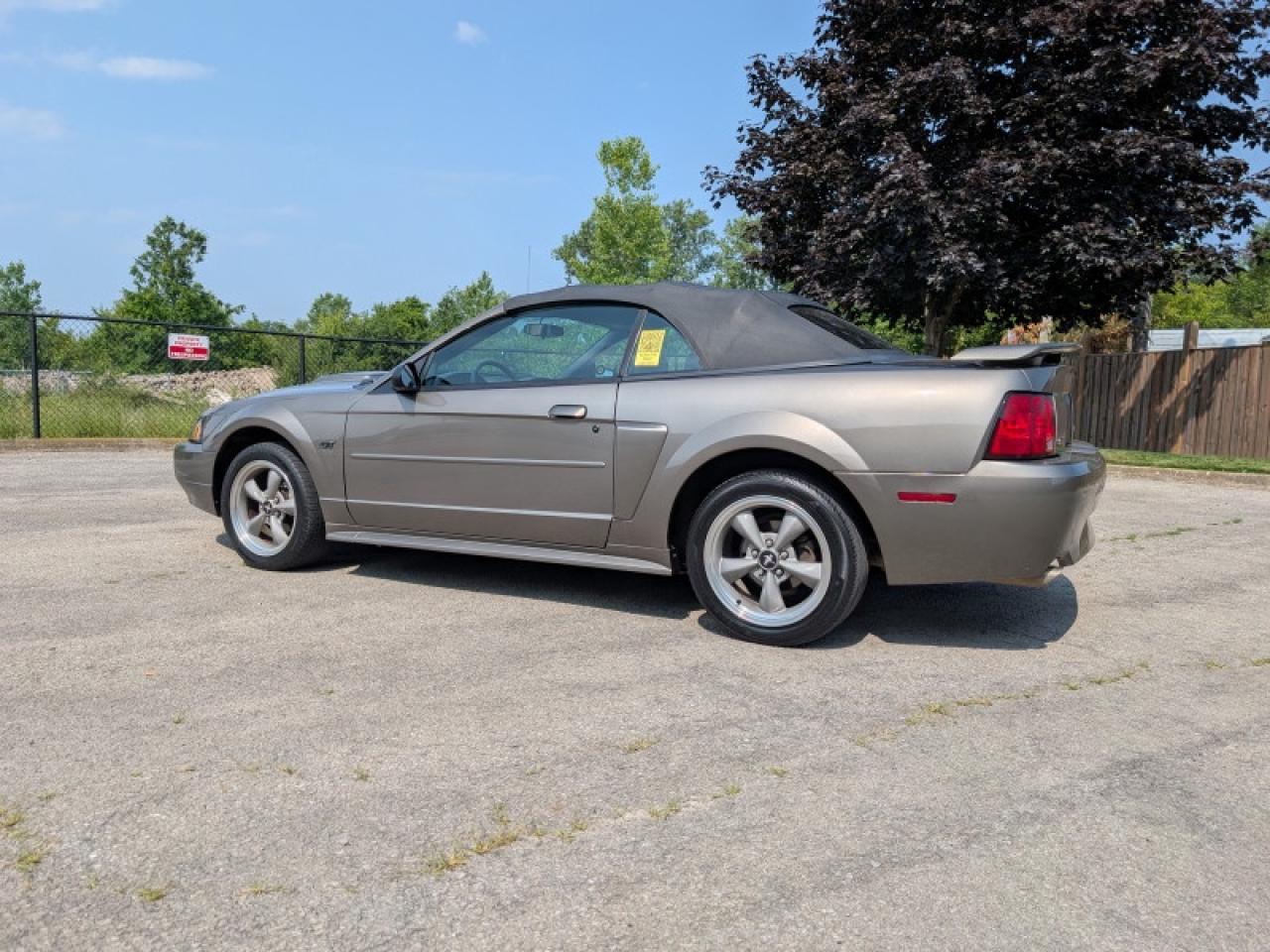 2002 Ford Mustang GT  **VERY LOW KMS - PRISTINE** Photo3