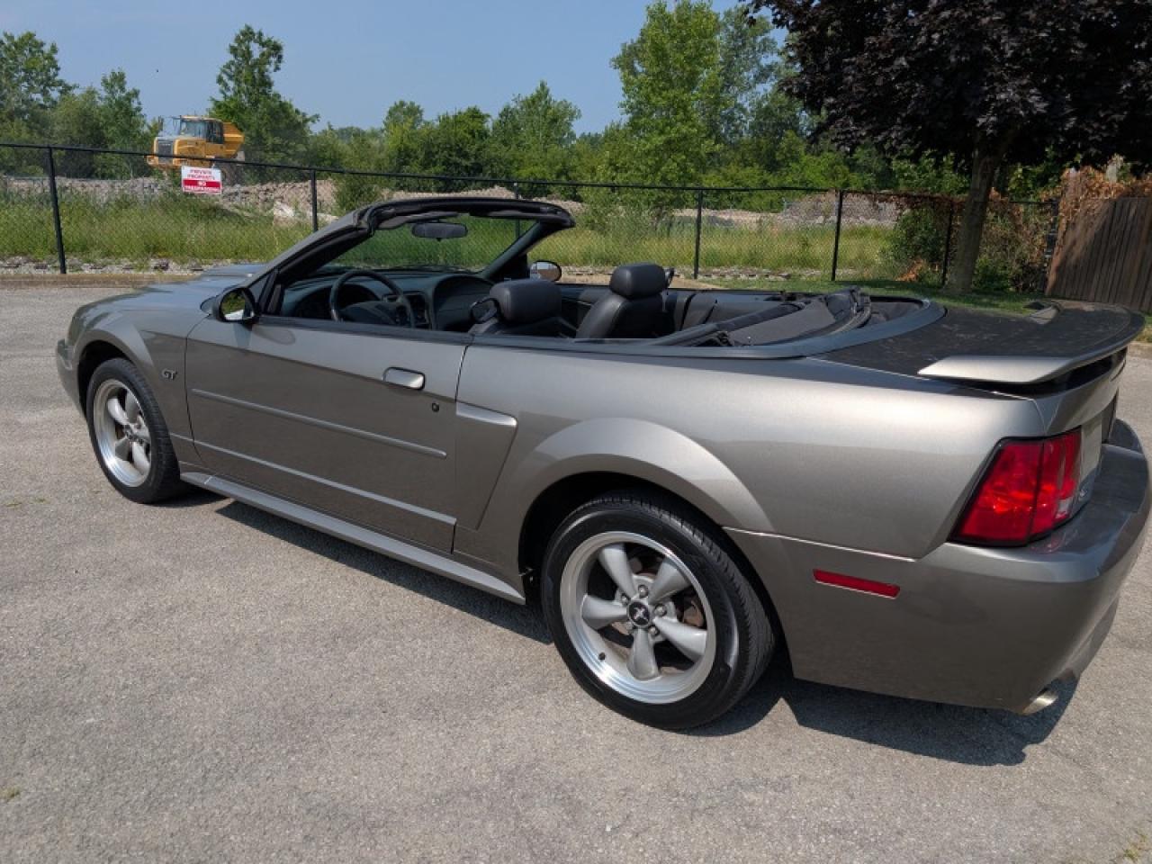 2002 Ford Mustang GT  **VERY LOW KMS - PRISTINE** Photo4