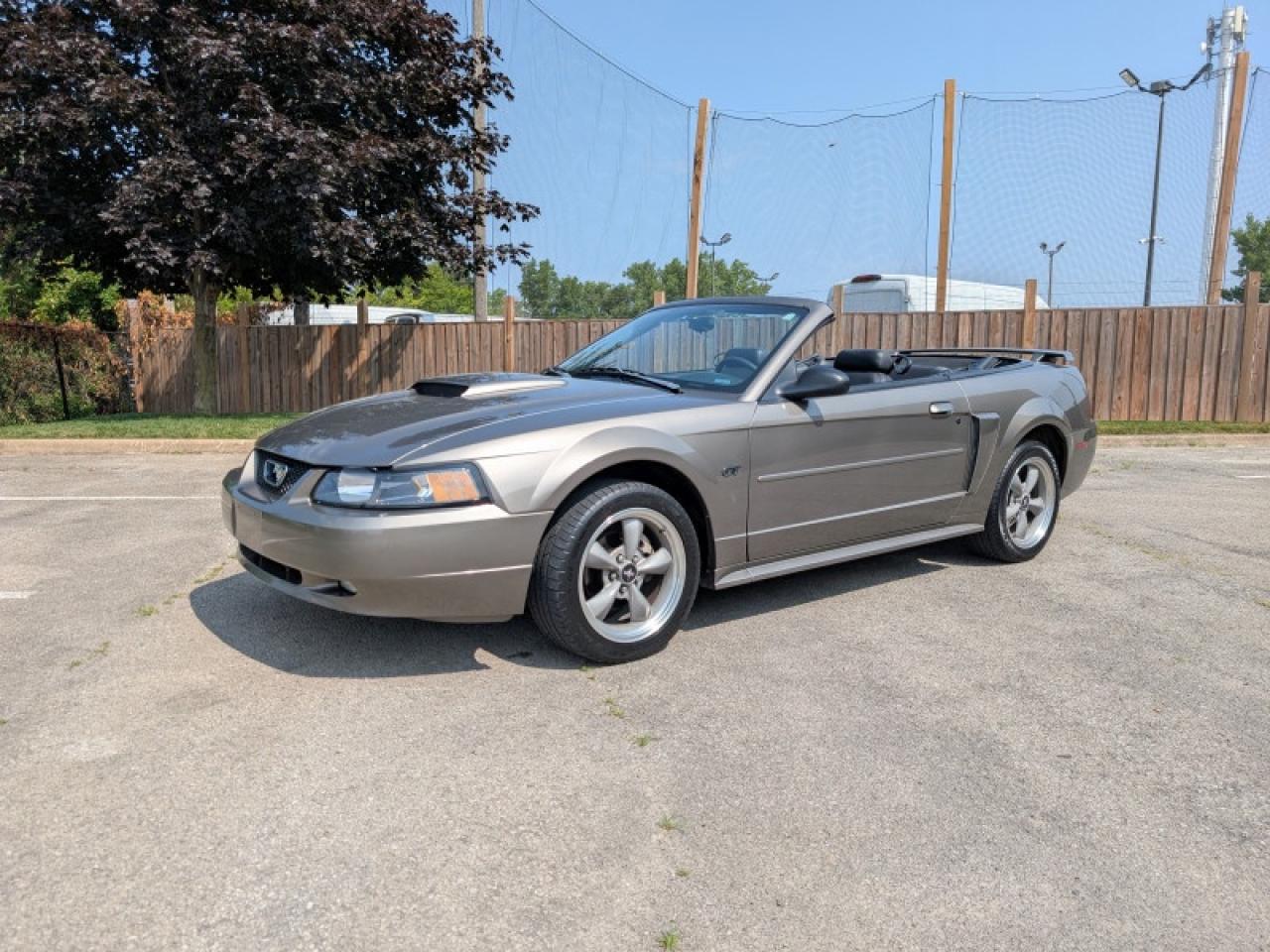2002 Ford Mustang GT  **VERY LOW KMS - PRISTINE** Photo2