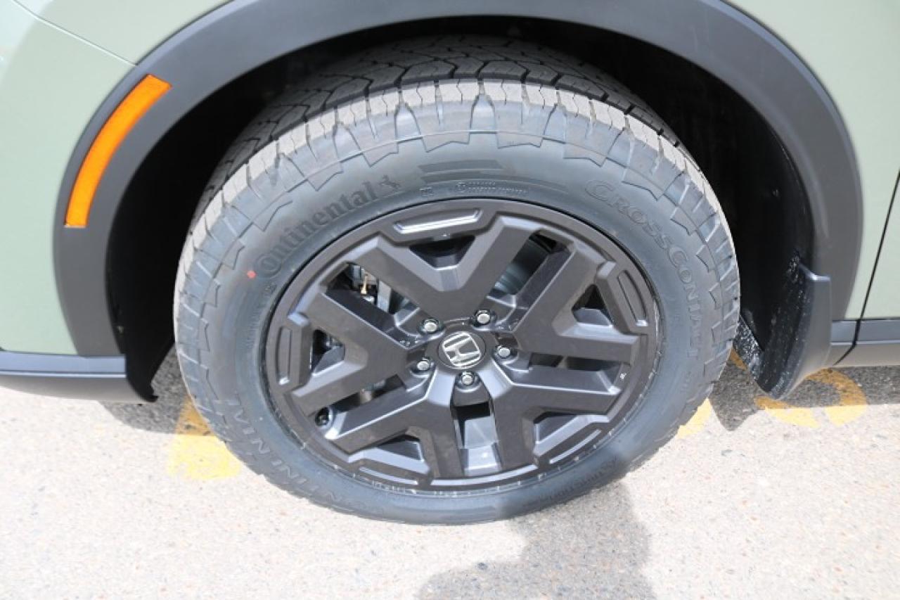 2026 Honda CR-V  Photo