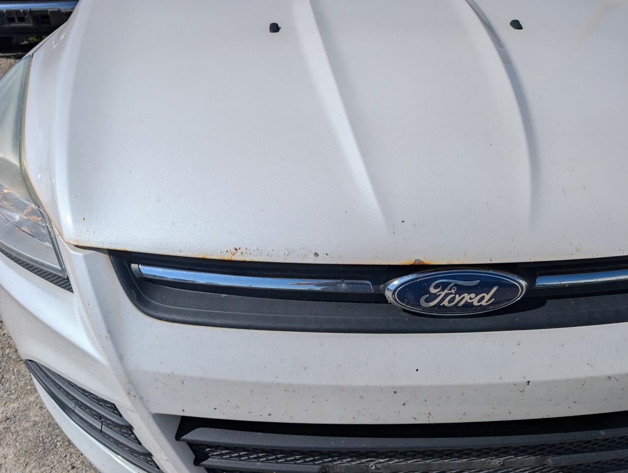 2013 Ford Escape SE Photo