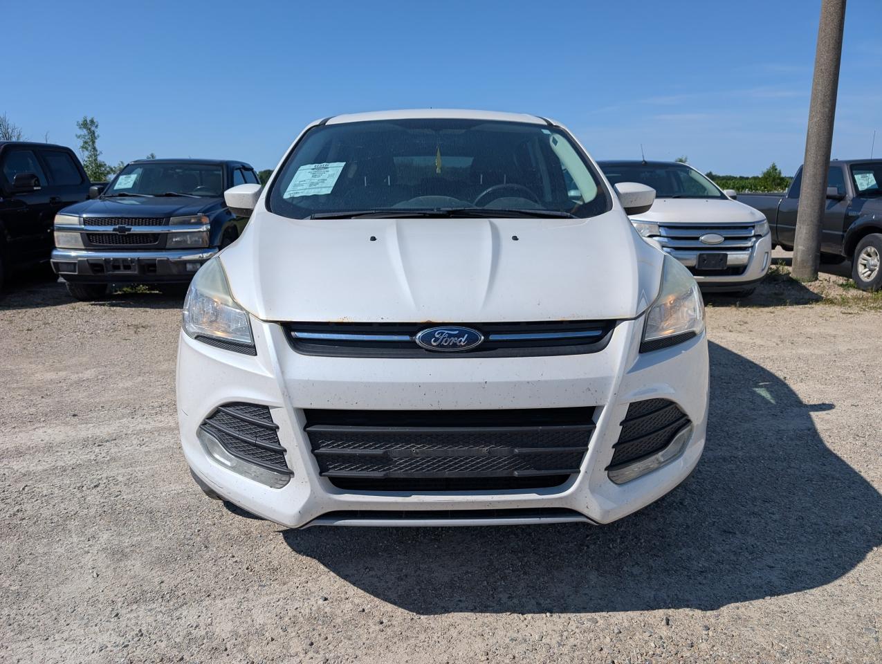 2013 Ford Escape SE Photo