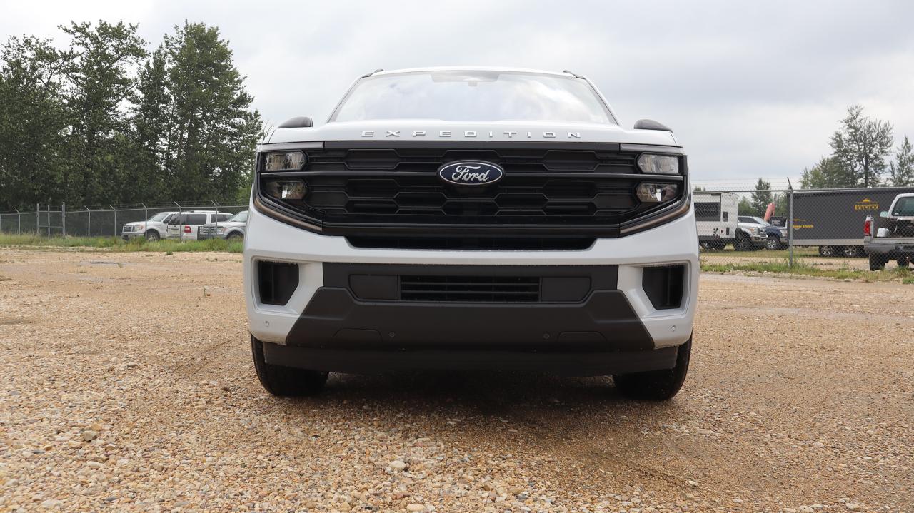 2025 Ford Expedition Active Photo2