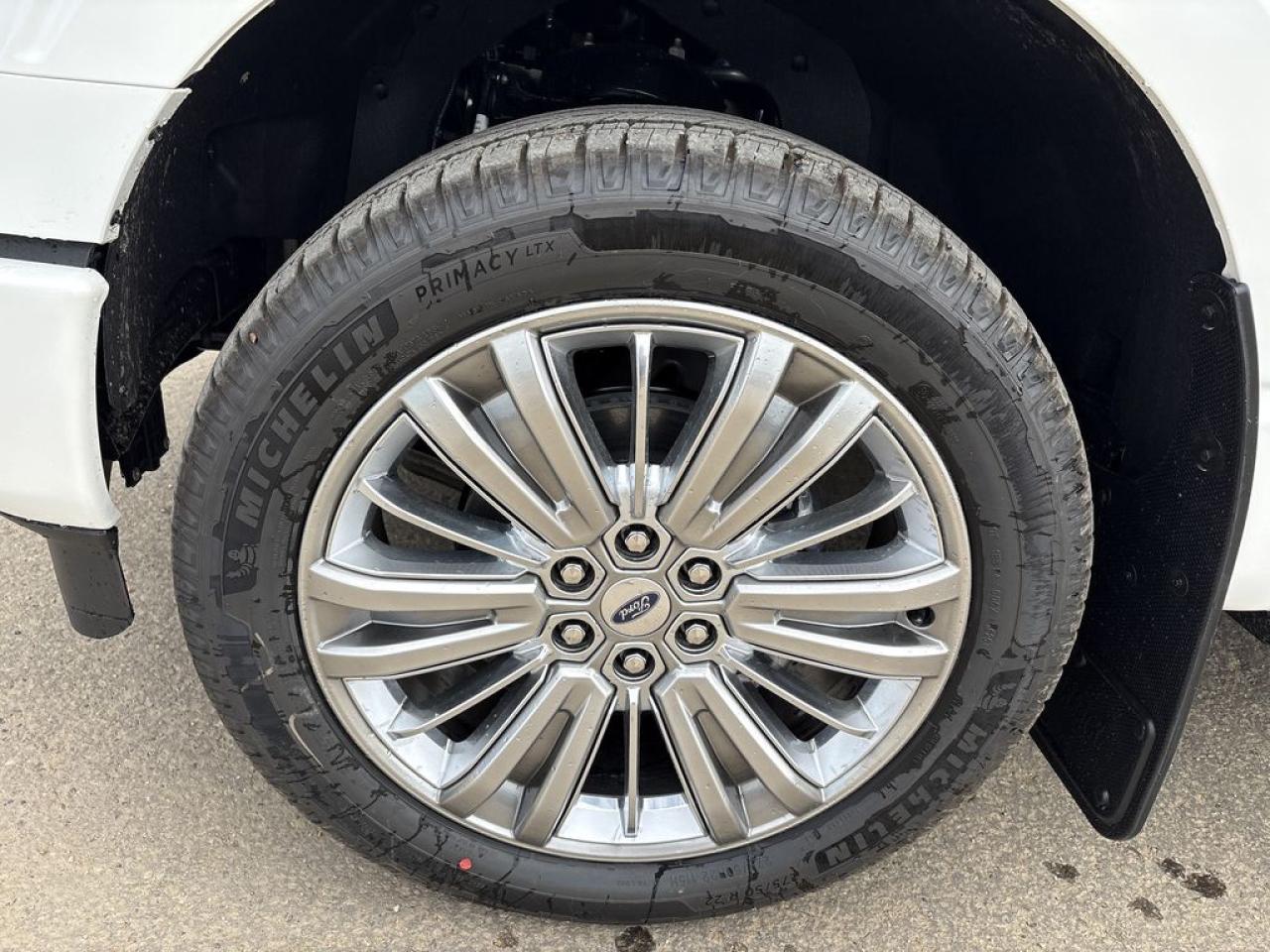 2025 Ford F-150 PLATINUM 5.5' Box 703A Photo2