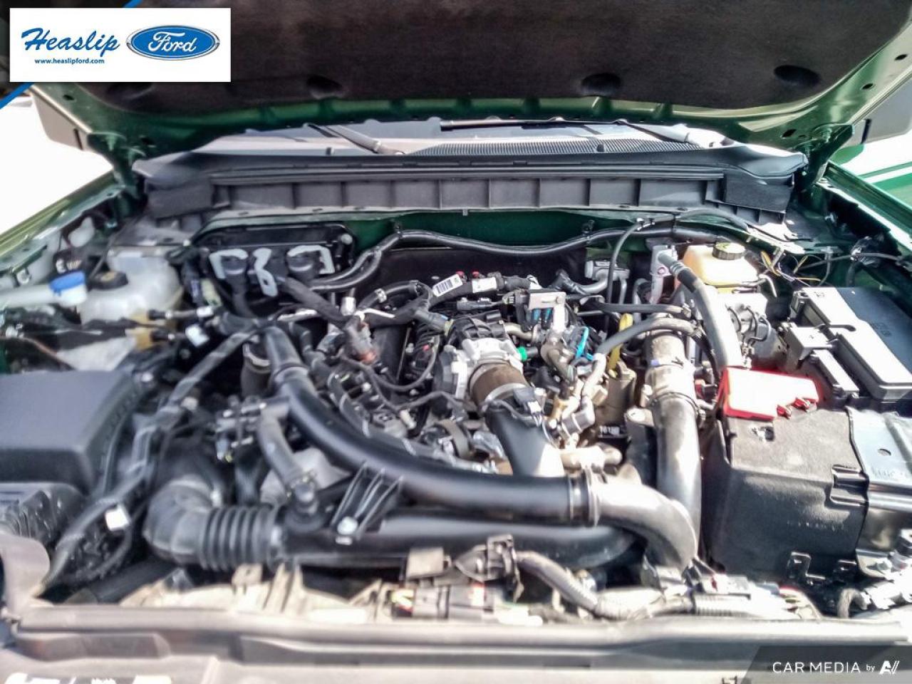 2022 Ford Bronco WildTrak Photo5