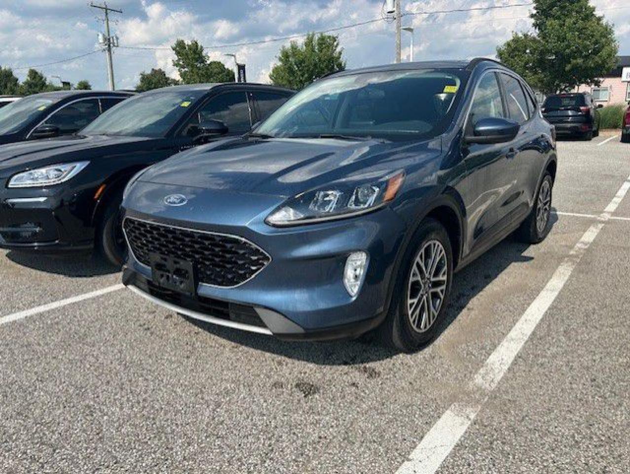 Used 2020 Ford Escape SEL AWD for sale in Watford, ON
