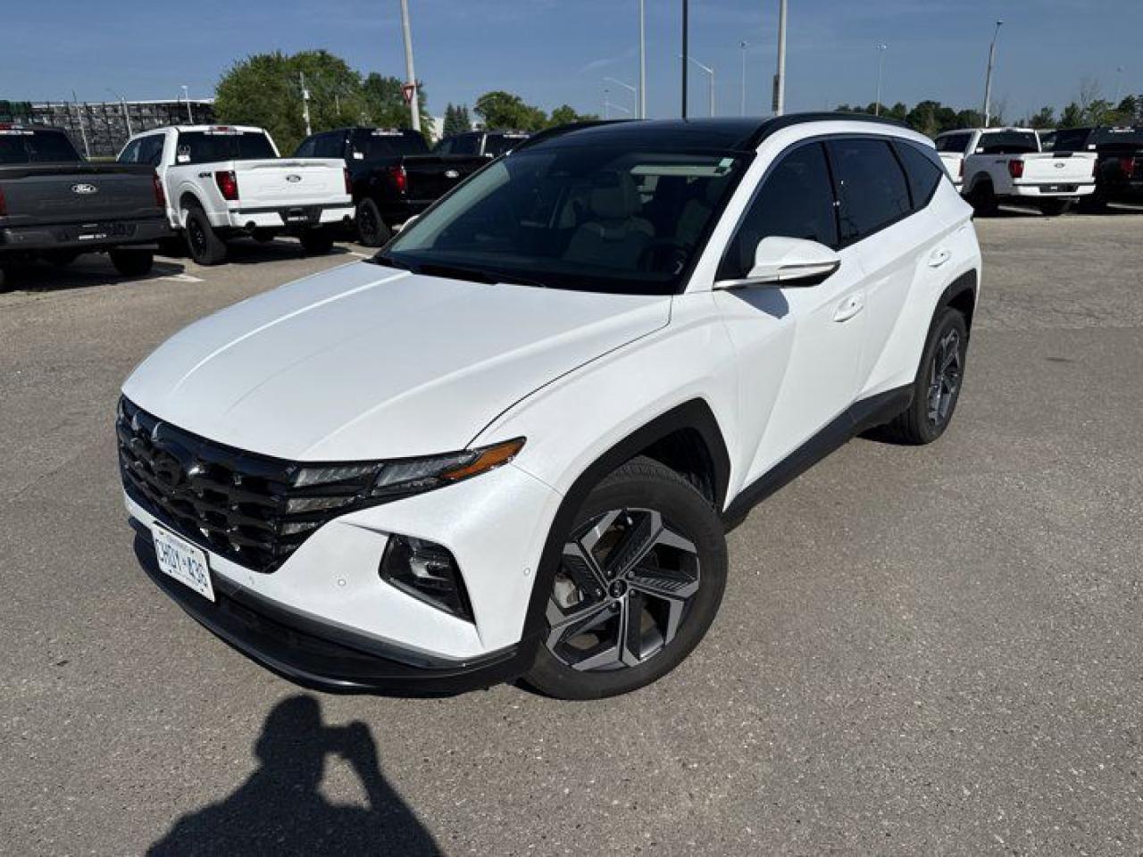 Used 2024 Hyundai Tucson Hybrid Ultimate | Leather | Panoroof | Nav | Adaptive Cruise | 360 Camera | Heated & Cooled Seats and More! for sale in Guelph, ON