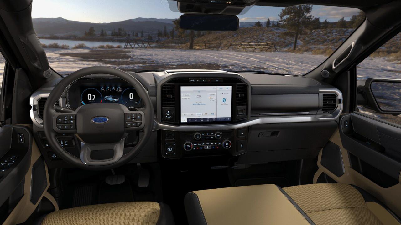 2021 Ford F-150  Photo6