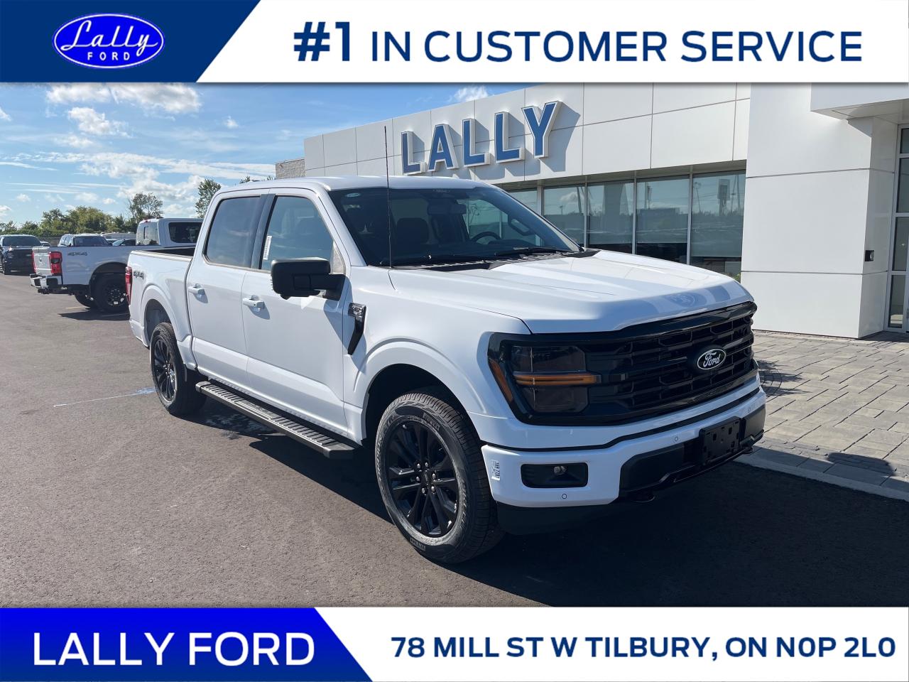 New 2025 Ford F-150 XLT for sale in Tilbury, ON