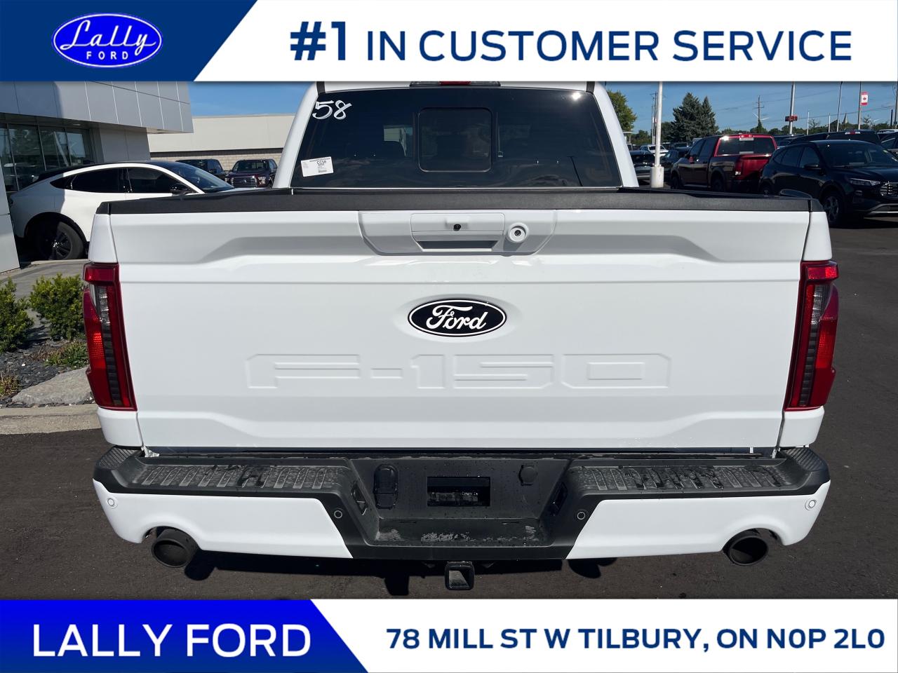 2025 Ford F-150 XLT Photo3