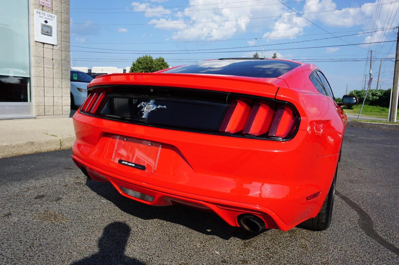 2017 Ford Mustang 3.7L V6 SHIFT/6 Speed CERTIFIED *FORD MAINTAIN* CAMERA BLUETOOTH CRUISE ALLOYS POWER DRIVER SEAT - Photo #6