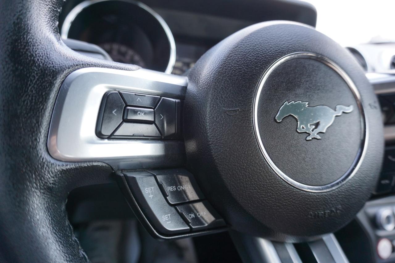 2017 Ford Mustang 3.7L V6 SHIFT/6 Speed CERTIFIED *FORD MAINTAIN* CAMERA BLUETOOTH CRUISE ALLOYS POWER DRIVER SEAT - Photo #27