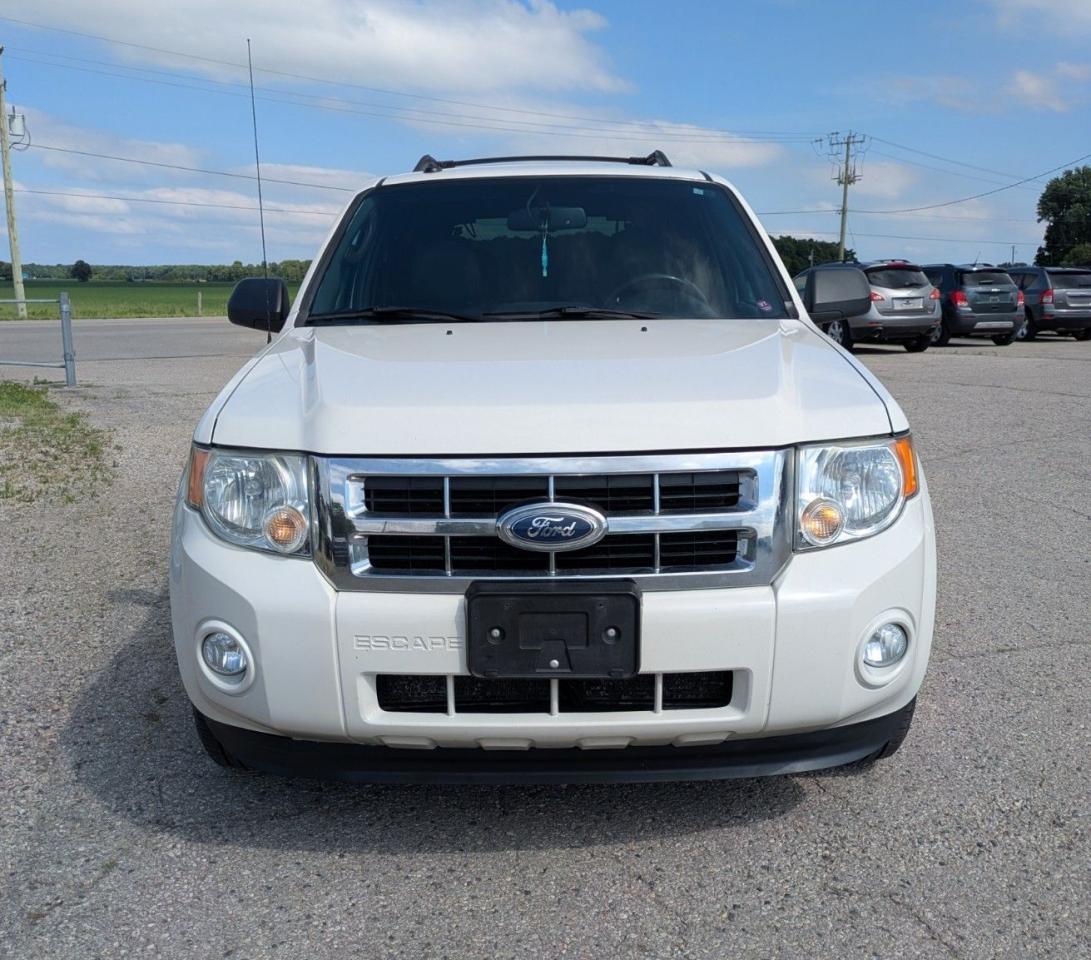 2012 Ford Escape XLT - Photo #8