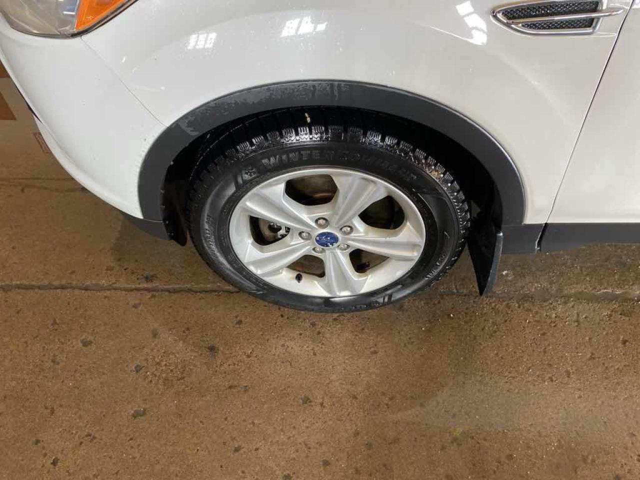 12712560