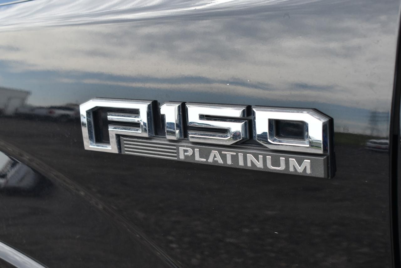 2020 Ford F-150 PLATINUM - 5.0L - Photo #14