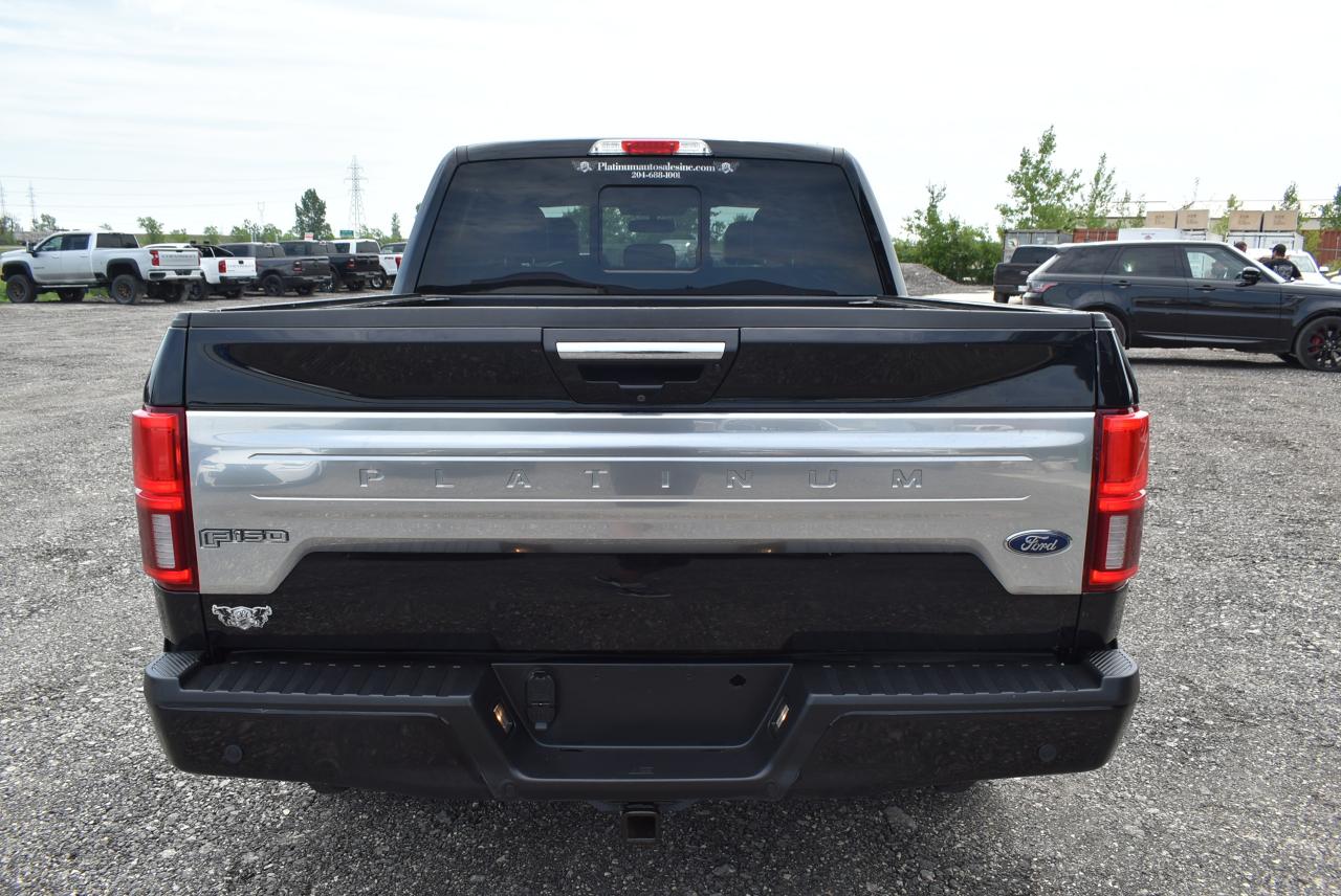 2020 Ford F-150 PLATINUM - 5.0L - Photo #6
