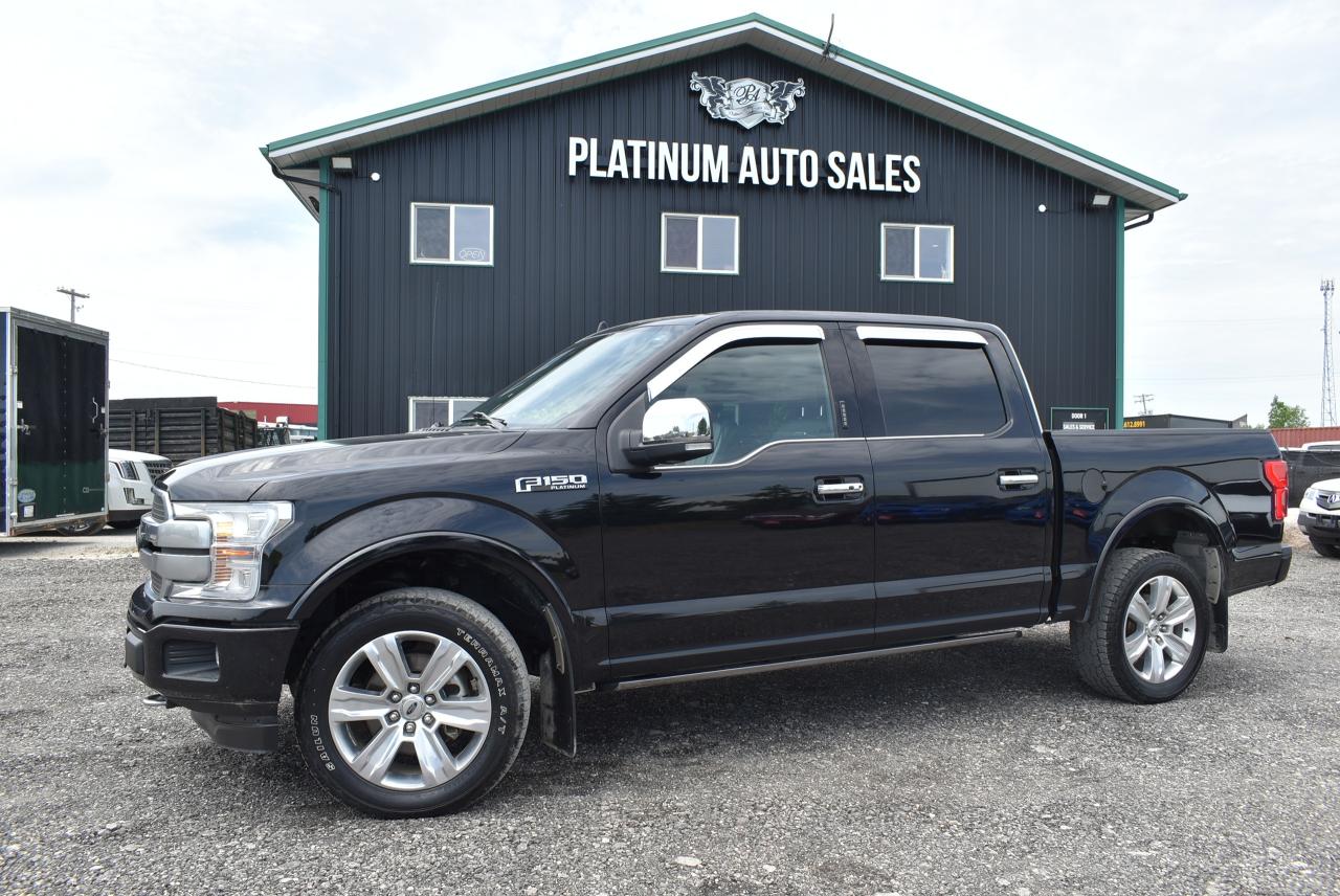 Used 2020 Ford F-150 PLATINUM for sale in Winnipeg, MB