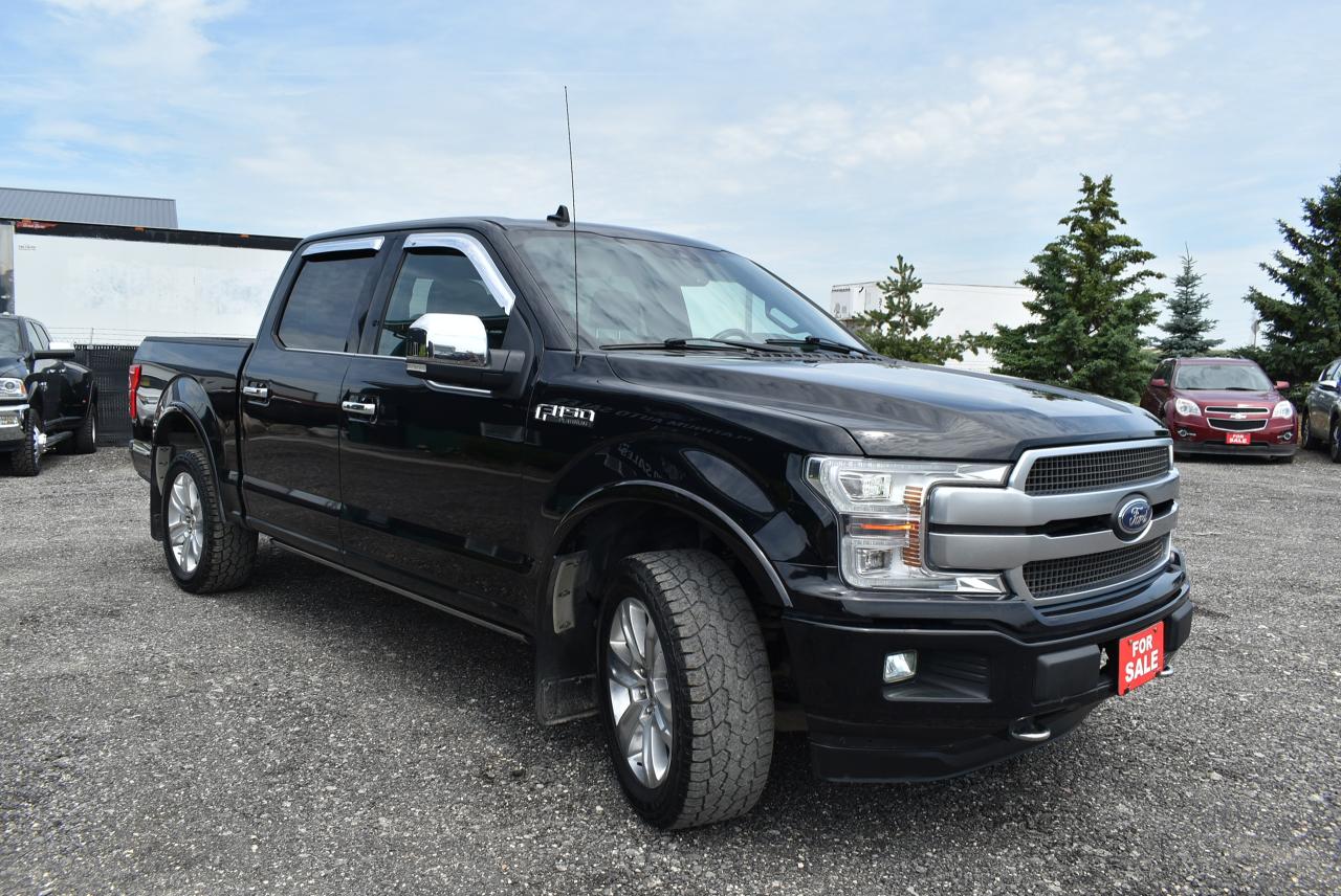 2020 Ford F-150 PLATINUM - 5.0L - Photo #9