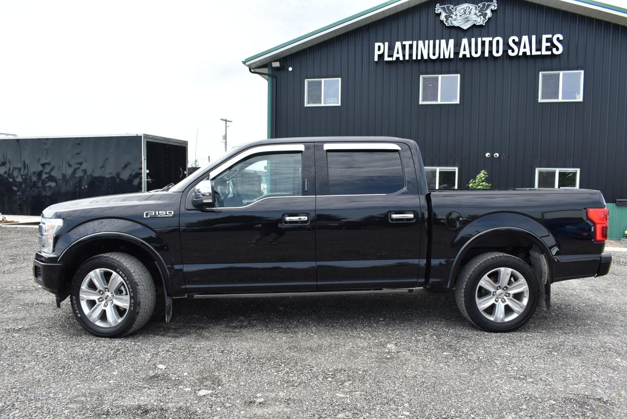 2020 Ford F-150 PLATINUM - 5.0L - Photo #3