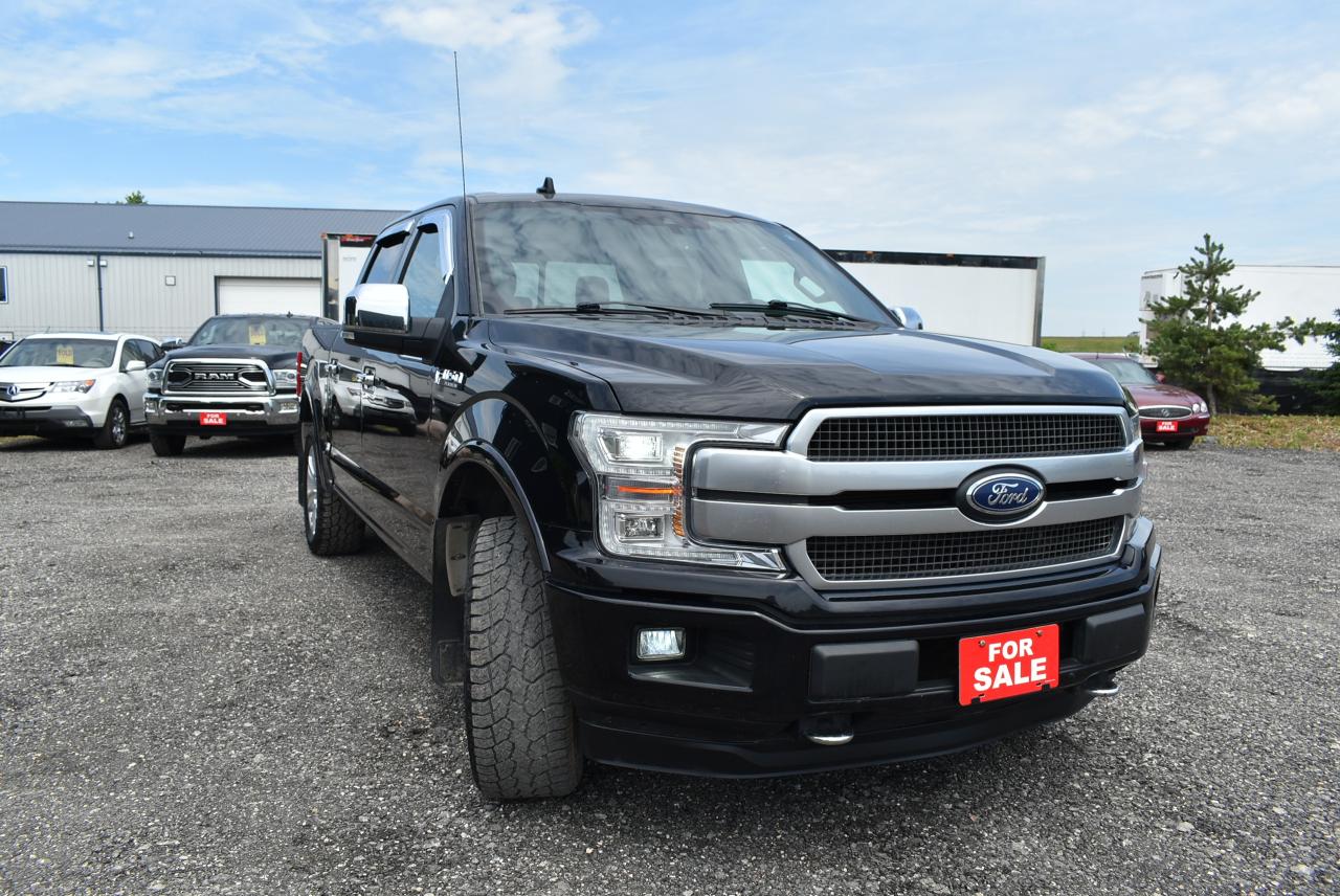 2020 Ford F-150 PLATINUM - 5.0L - Photo #10