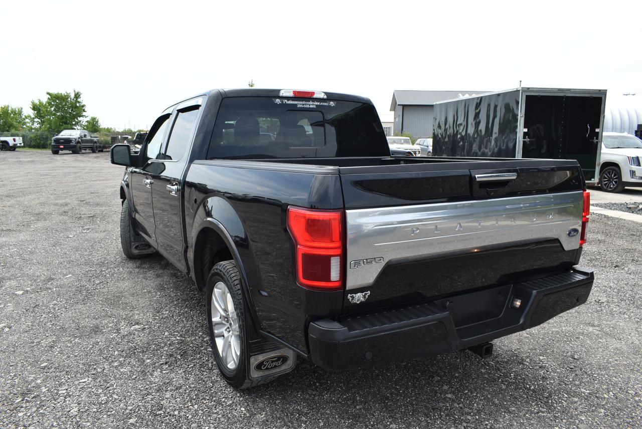 2020 Ford F-150 PLATINUM - 5.0L - Photo #5