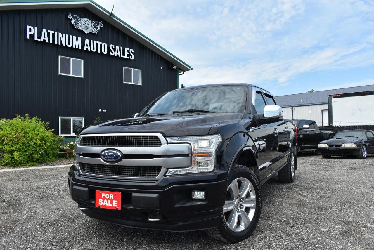 2020 Ford F-150 PLATINUM - 5.0L - Photo #12