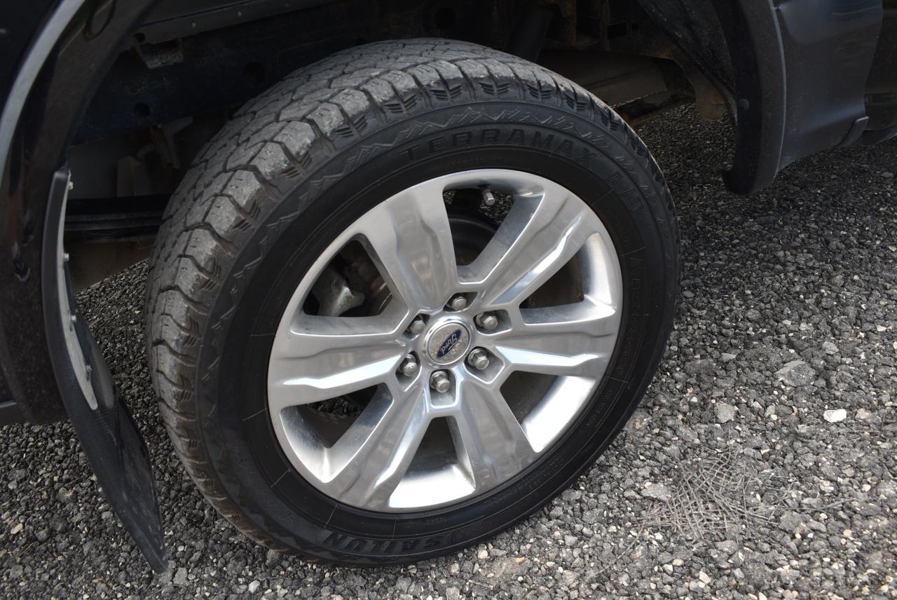 2020 Ford F-150 PLATINUM - 5.0L - Photo #16