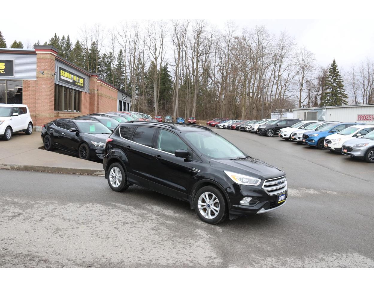 2018 Ford Escape SEL 4WD Photo