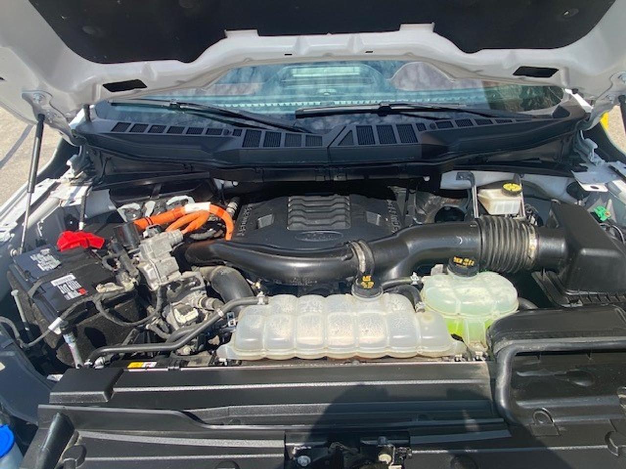 2023 Ford F-150 Lariat 4WD SuperCrew 6.5' Box Photo