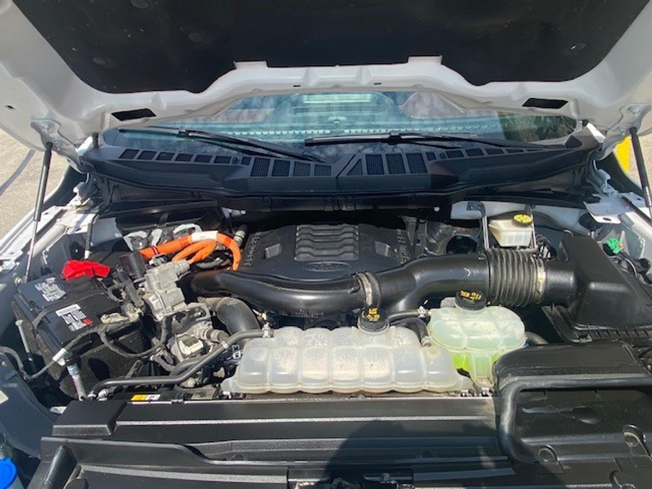 2023 Ford F-150 Lariat 4WD SuperCrew 6.5' Box Photo