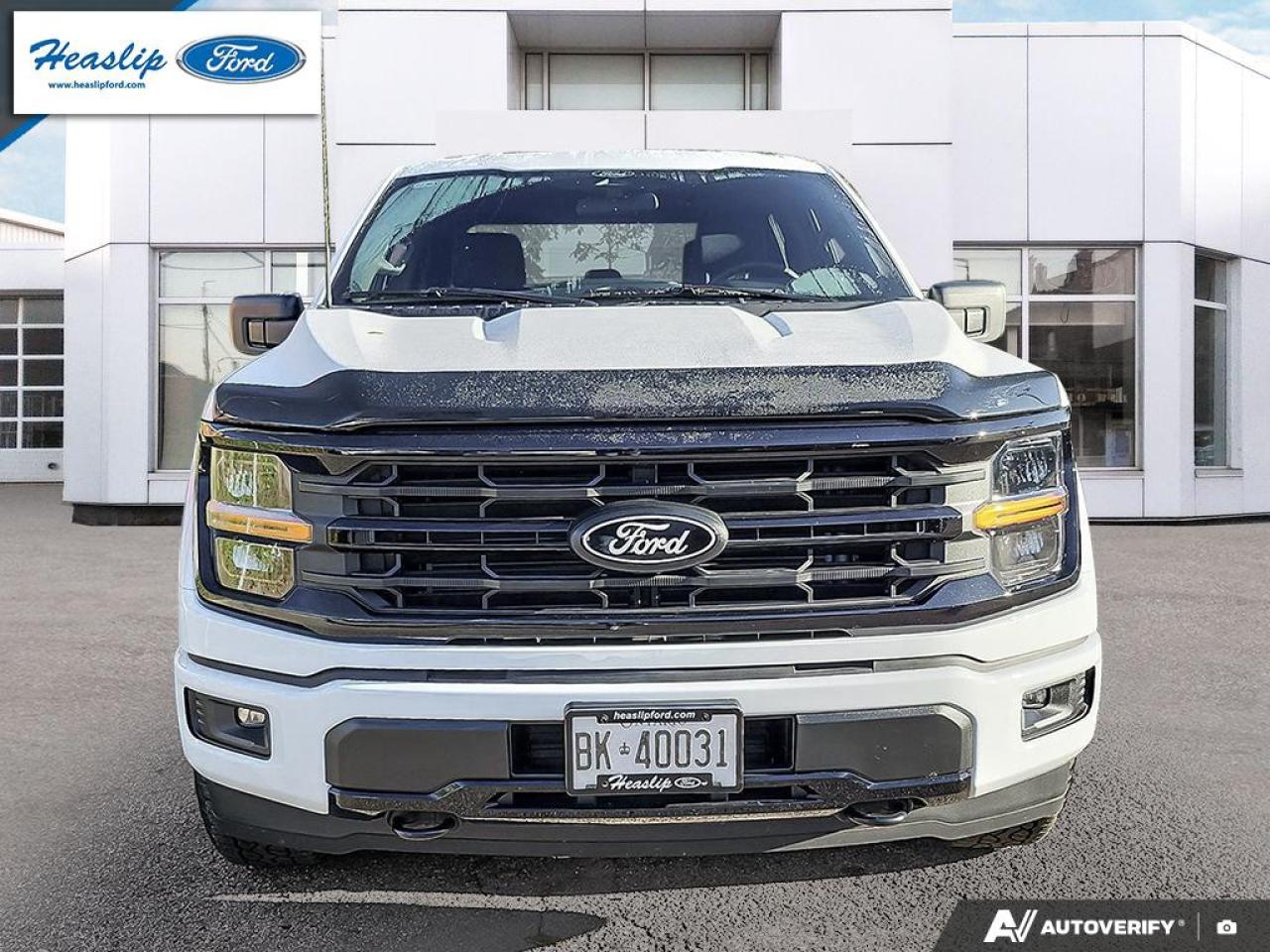 2025 Ford F-150 XLT Photo1