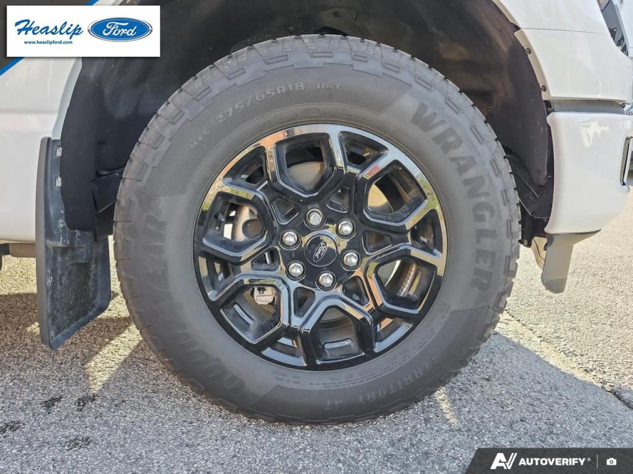 2025 Ford F-150 XLT Photo5