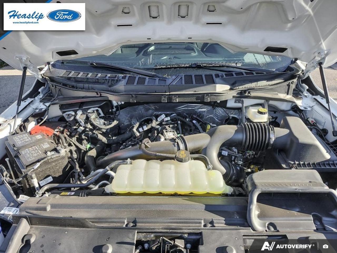 2025 Ford F-150 XLT Photo5