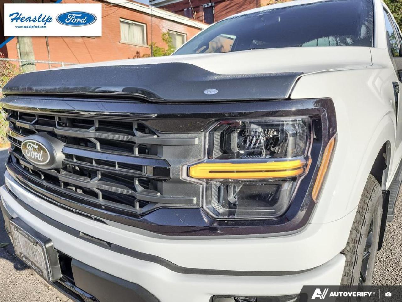 2025 Ford F-150 XLT Photo5