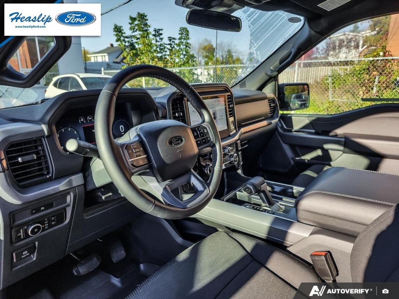 2025 Ford F-150 XLT Photo5