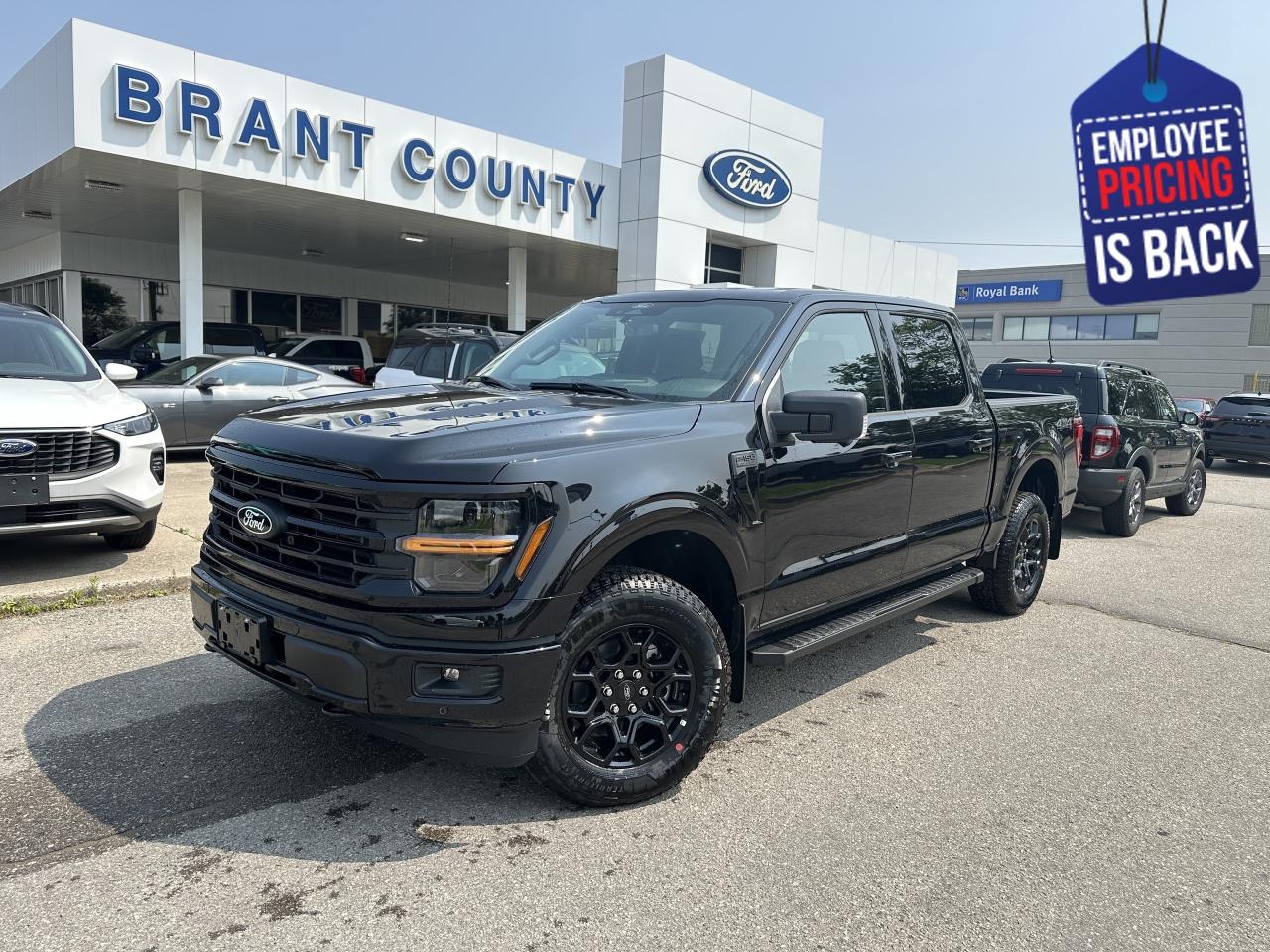 New 2025 Ford F-150 XLT for sale in Brantford, ON