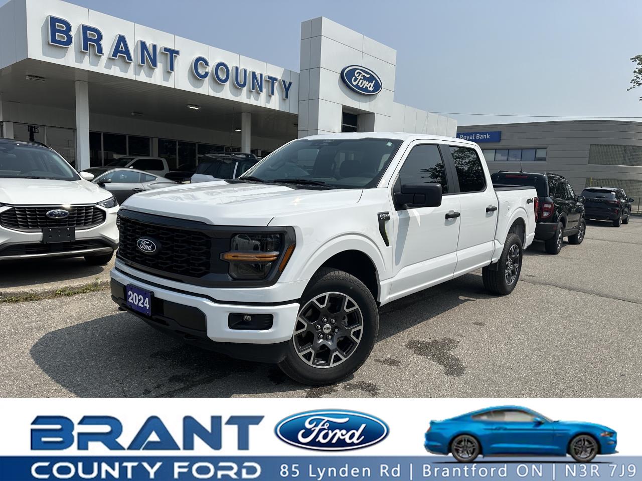 Used 2024 Ford F-150 STX | 2.7L V6| CREW CAB | for sale in Brantford, ON