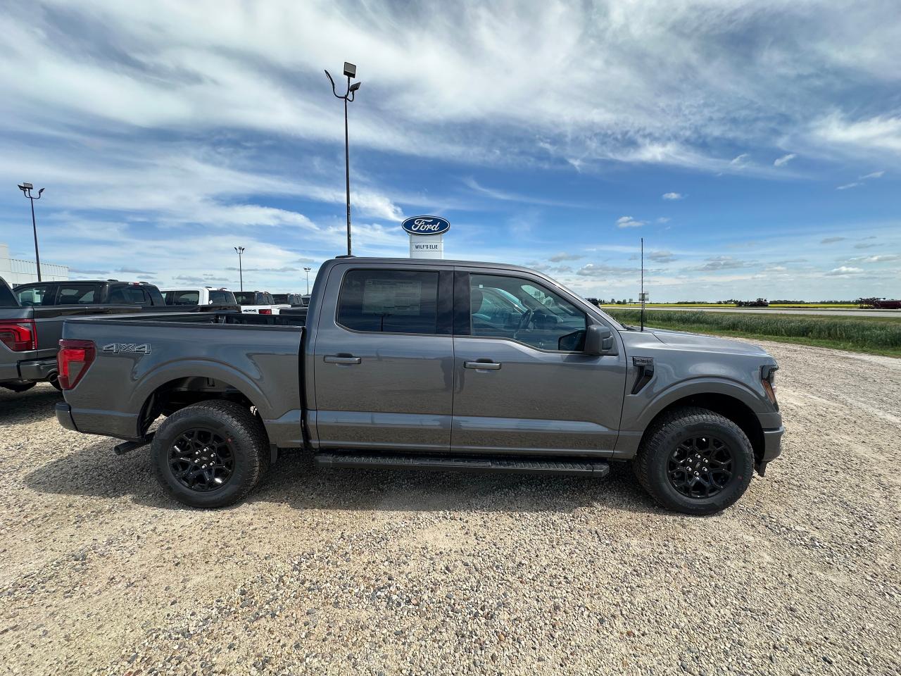 2025 Ford F-150 XLT 4WD SuperCrew 5.5' Box 301A Photo3