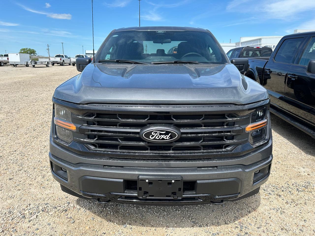 2025 Ford F-150 XLT 4WD SuperCrew 5.5' Box 301A Photo
