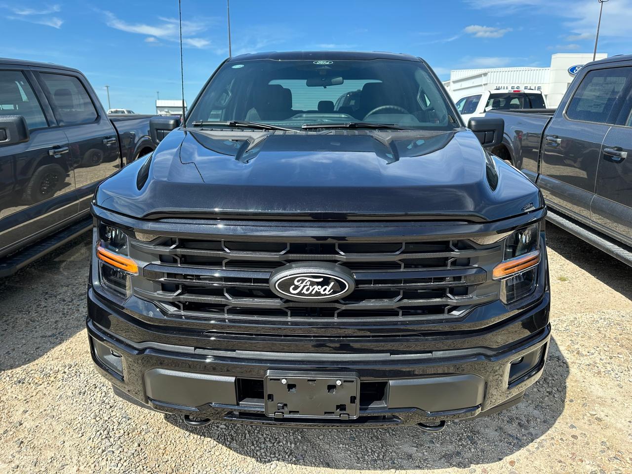 2025 Ford F-150 XLT 4WD SuperCrew 5.5' Box 301A Photo1