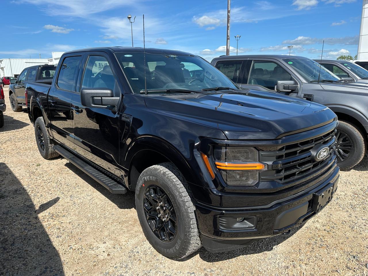 2025 Ford F-150 XLT 4WD SuperCrew 5.5' Box 301A Photo2