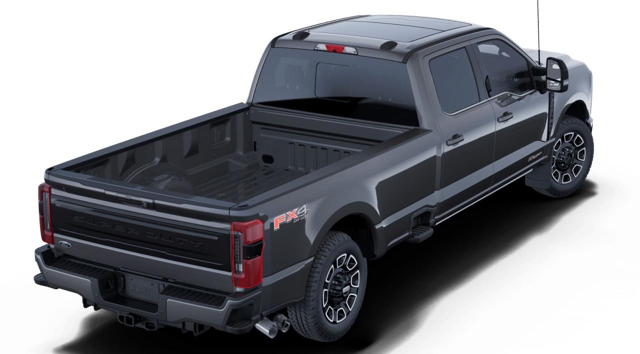 2025 Ford F-350 Super Duty SRW PLATINUM Photo2