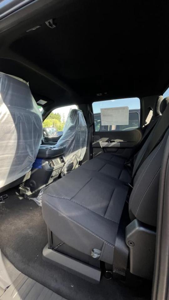 2025 Ford F-150 Hybrid XLT Photo3